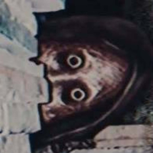 WTF!