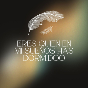 Eres quien en mi sueños has dormidoo
