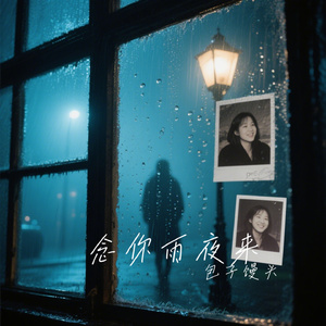 念你雨夜来