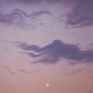 风中有朵雨做的云