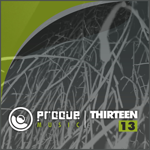 Thirteen (Chance McDermott Mix)