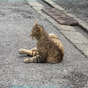 ハッピー、バースデー