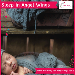 The Comforting Moments (Solo Piano in D Sharp Minor)