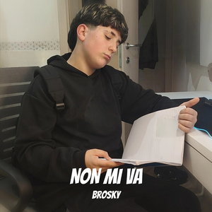 Non mi va