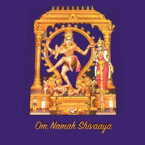 Neel Kazhalgal Konji Aada (feat. Keerthana Vaidhyanathan, Karthik Raja & Embar S Kannan) (Special Version)