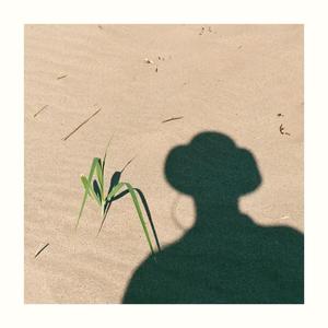 Le soleil dans son quadrant matinal