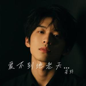 爱不到地老天荒 (烟嗓版)