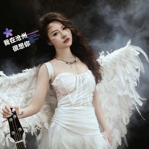 我在沧州很想你 伴奏