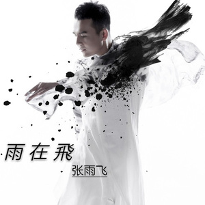 雨在飞