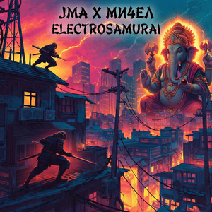 ELECTROSAMURAI
