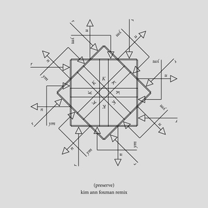 Preserve (Kim Ann Foxman Remix)