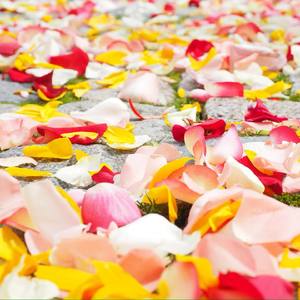 布洛芬也止不住的痛