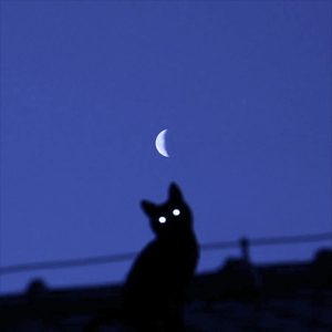 DUSK (EUPHEE'S "ETHERTAIL" FLIP)