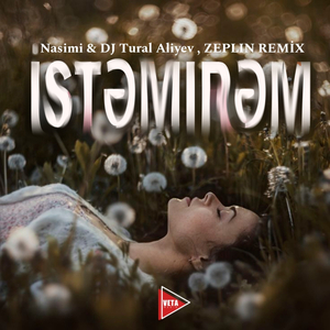 Istəmirəm (DJ Tural Aliyev, Zeplin Remix)