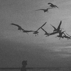 Ludovico Einaudi-Una Mattina（贰皮 remix）