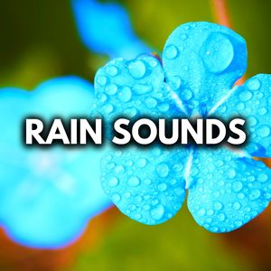 Rain Ambience (Loopable, No Fade Out)