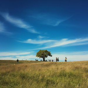 오늘은 왜인지 말하고싶어