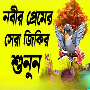 হাসবি রাব্বি জাল্লাল্লাহ জিকির