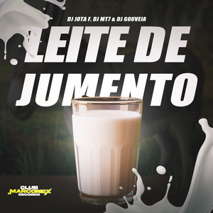 Leite de Jumento