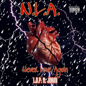 Never Love Again (feat. Johan)