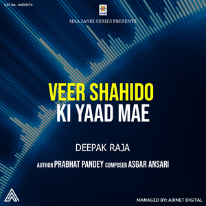 Veer Shahido Ki Yaad Mae