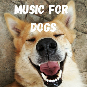 Puppy Music