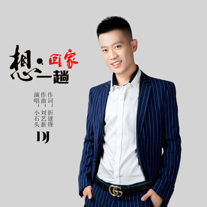 想回家一趟 (DJ版)