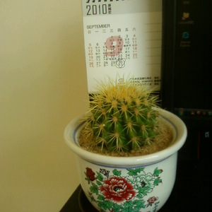 20110420ad海口蓝色的夜