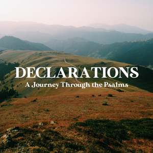 We Declare (Psalm 27)