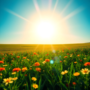 Sunshine