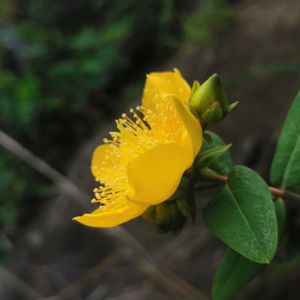 阿区第二季（土嗨版）