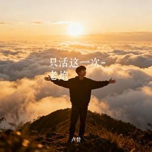 只活这一次-老炮