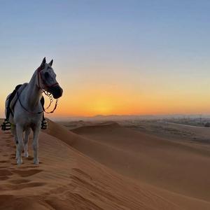 ритмичность