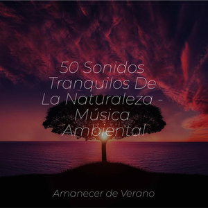 Lamento de Pétalos Marchitos