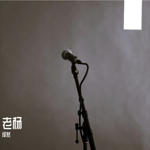 《老杨》