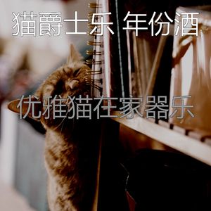 柔和的小猫时刻