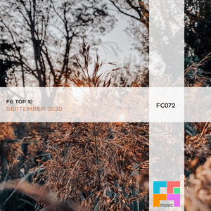 Harsh Feelings (Original Mix)