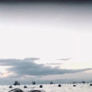 你带走了我所有的思念