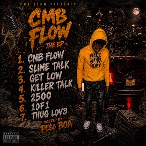 CMB Flow