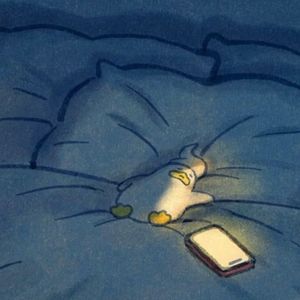 迟眠