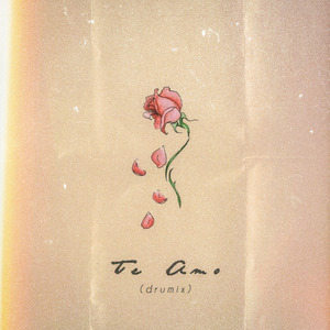 Te Amo (Drumix)