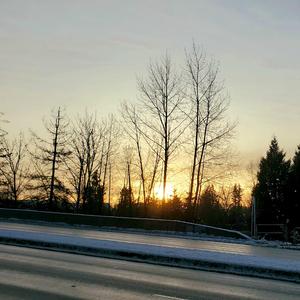 なごり雪（残雪）