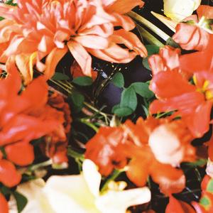 Almost (feat. Sonny Zero)