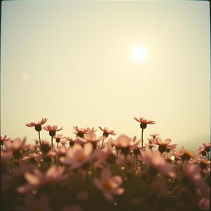 Like Snow in July (Ballad rev)