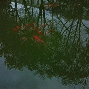 我在凌晨等太阳 越等越失望