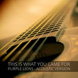 This Is What You Came For (Guitar Version)