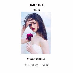 萧敬腾 - 怎么说我不爱你（DjCore Remix）2026
