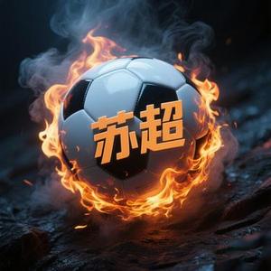 苏超十三太保燃起来了！