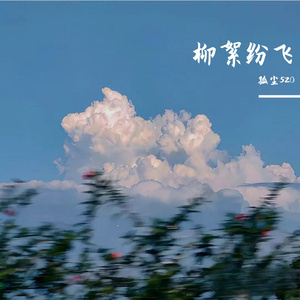 柳絮纷飞