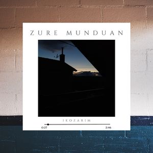 Zure Munduan